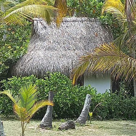 Playa Pikua Ecolodge Guachaca Екстериор снимка