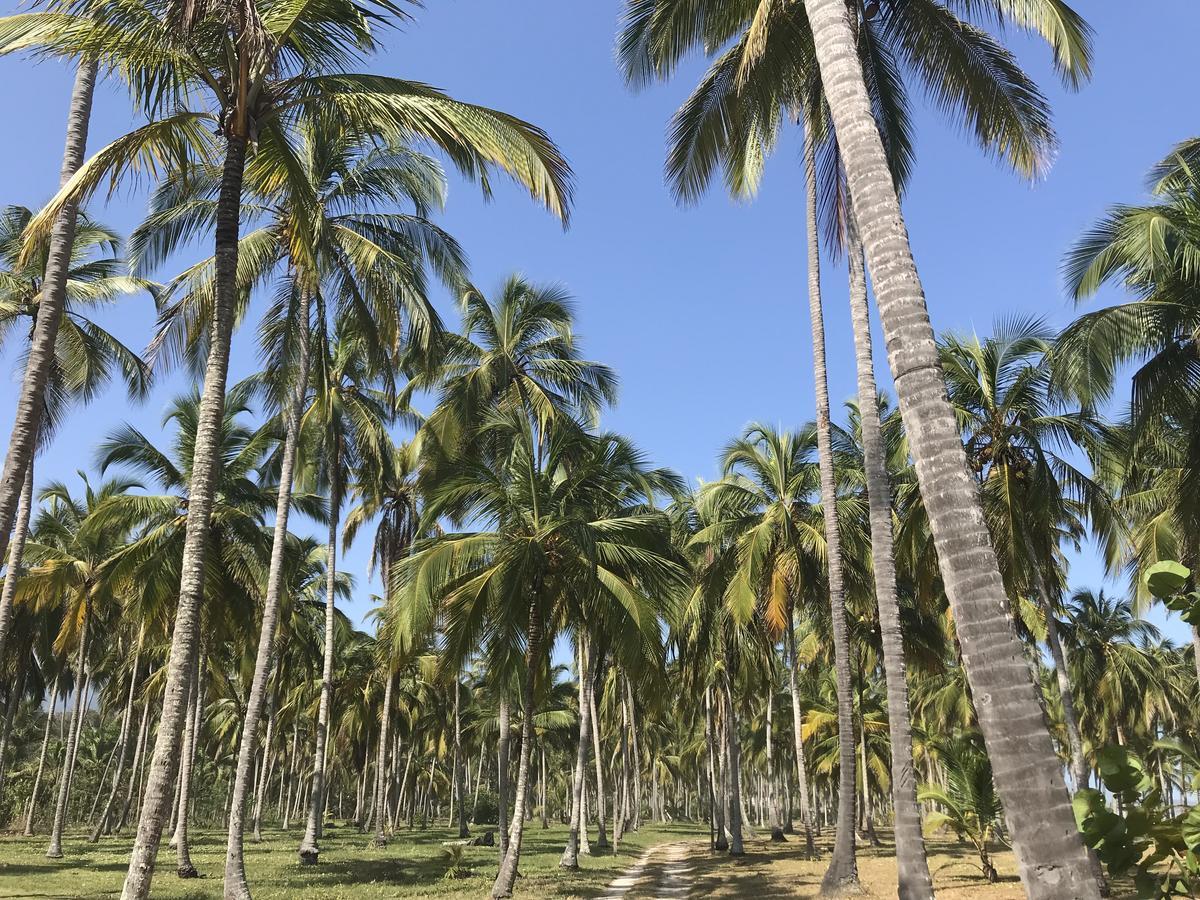 Playa Pikua Ecolodge Guachaca Екстериор снимка