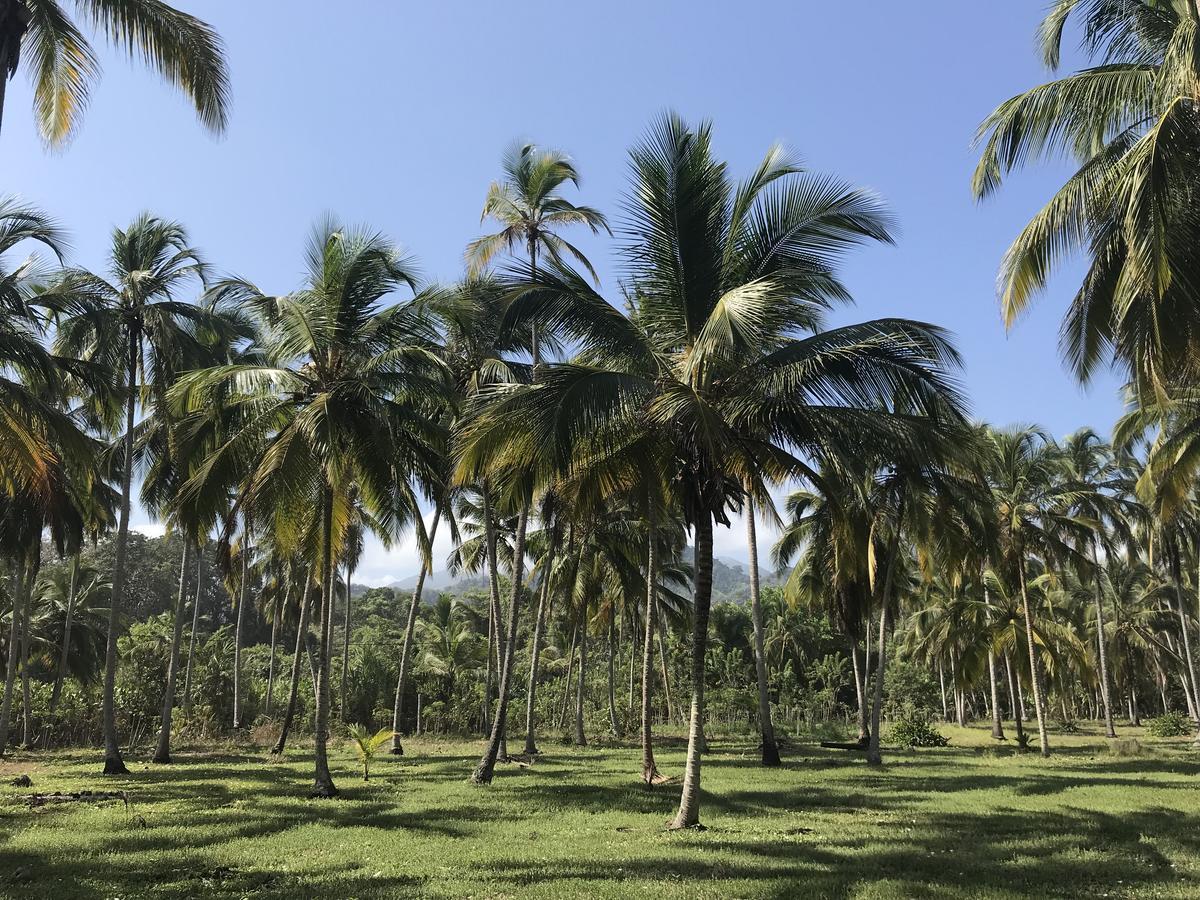 Playa Pikua Ecolodge Guachaca Екстериор снимка